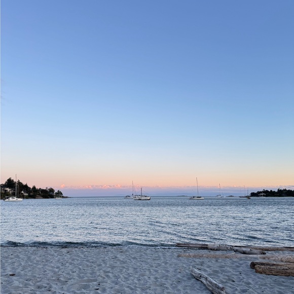 kombuchalvr